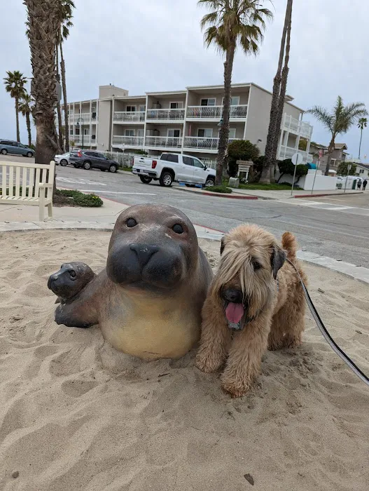 Carpinteria State Beach Picture 10