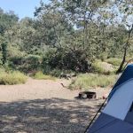 Camp site #52 Arroyo Campground