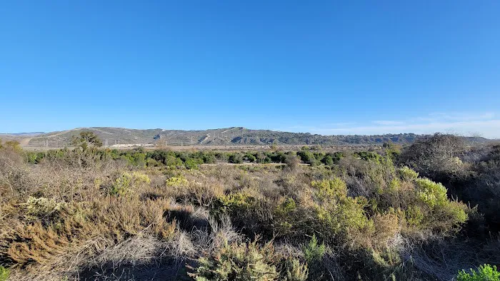 San Mateo Campground Picture 3