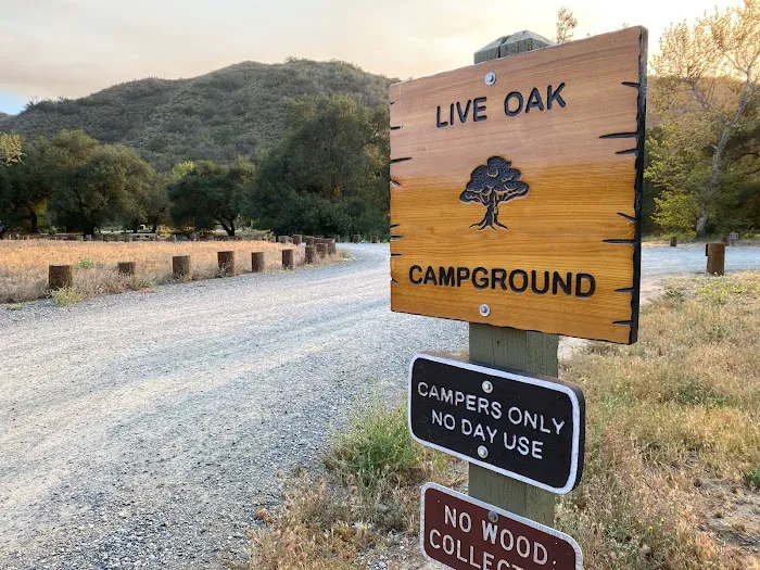 Live Oak Campground at Caspers Wilderness Park Picture 9