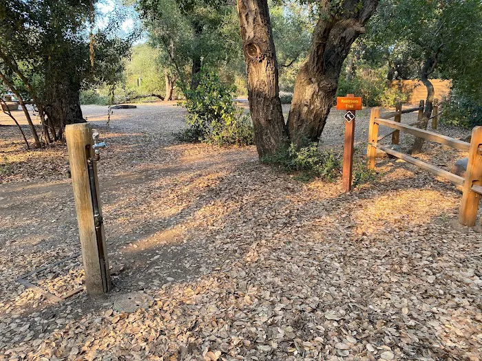 Live Oak Campground at Caspers Wilderness Park Picture 8