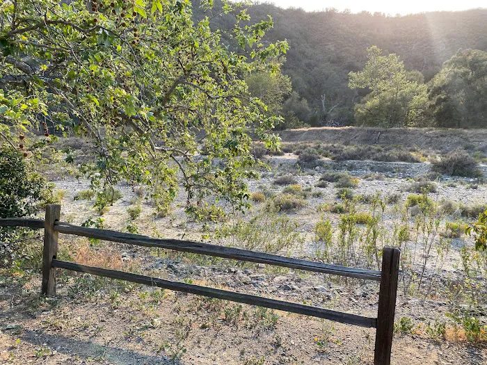 Live Oak Campground at Caspers Wilderness Park Picture 6