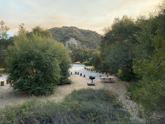 Live Oak Campground at Caspers Wilderness Park Picture 4