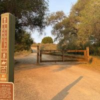Live Oak Campground at Caspers Wilderness Park ico