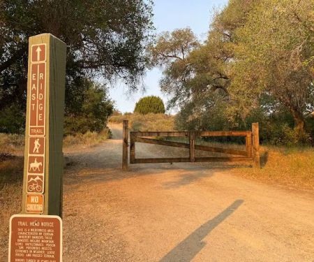 Live Oak Campground at Caspers Wilderness Park