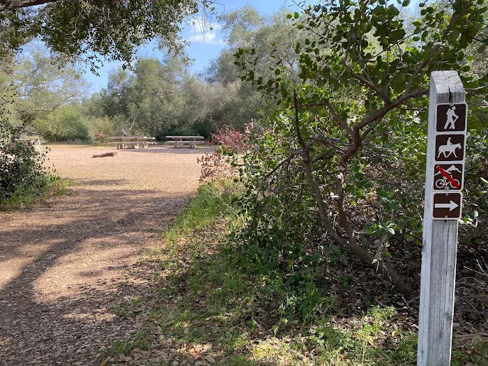 Owl & Quail Group Campground at Caspers Wilderness Park Picture 6