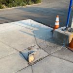 Ortega Flats Campground at Caspers Wilderness Park