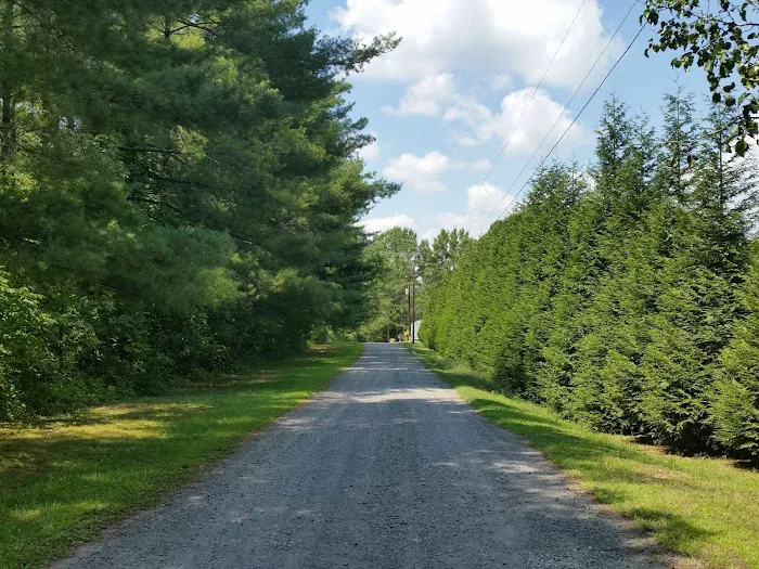 Whispering Pines Trailer Park Picture 5