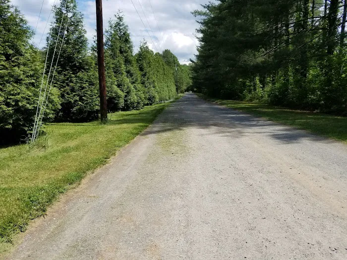 Whispering Pines Trailer Park Picture 7