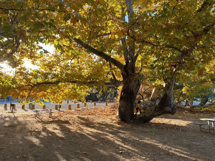 San Juan Meadow Group Campground at Caspers Wilderness Park Picture 3