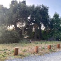 San Juan Meadow Group Campground at Caspers Wilderness Park ico