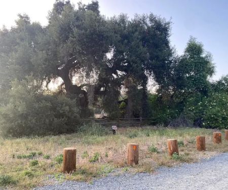San Juan Meadow Group Campground at Caspers Wilderness Park