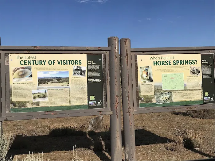 Horse Spring Campground Picture 8