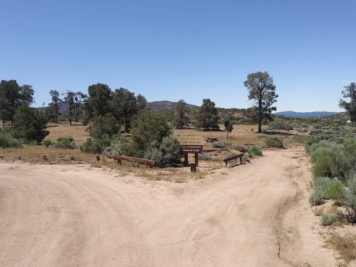 Horse Spring Campground Picture 9