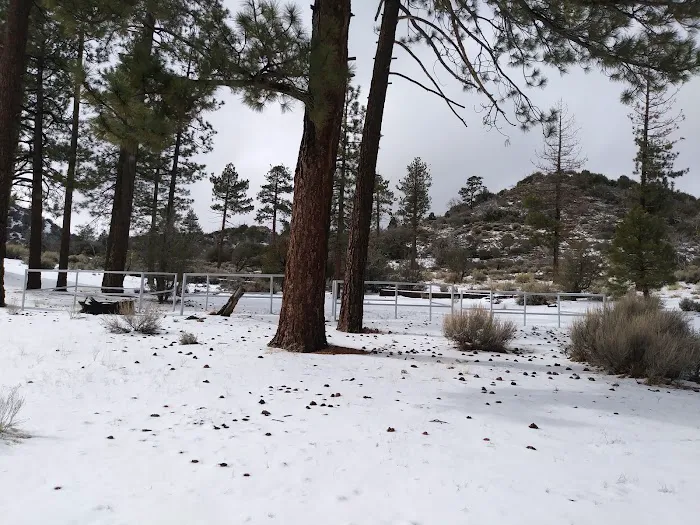Big Pine Equestrian Group Campground Picture 3