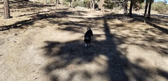 Big Pine Equestrian Group Campground Picture 2