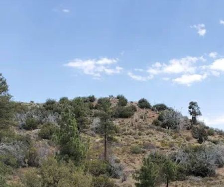 Big Pine Equestrian Group Campground