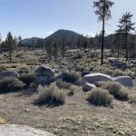 Yellow Post Campsite #7