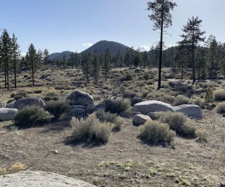 Yellow Post Campsite #7