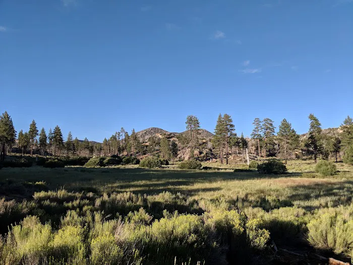 Ironwood Group Campground Picture 6