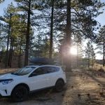 Yellow Post Camp Site #6