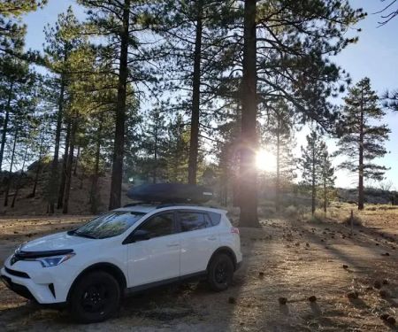 Yellow Post Camp Site #6