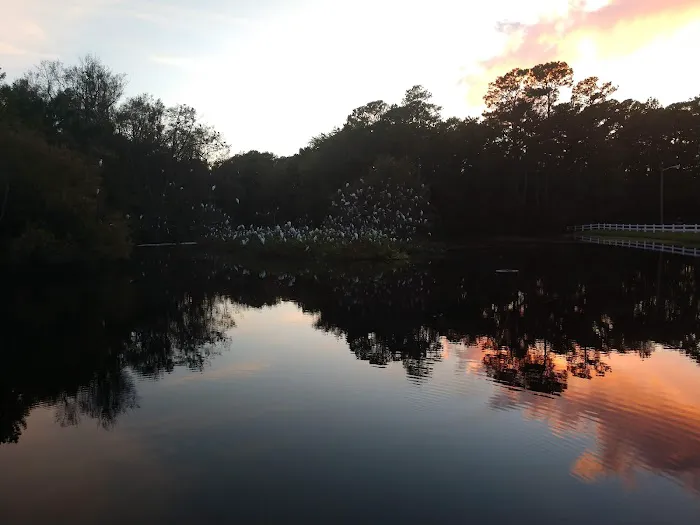 Myrtle Beach RV Resort Picture 8