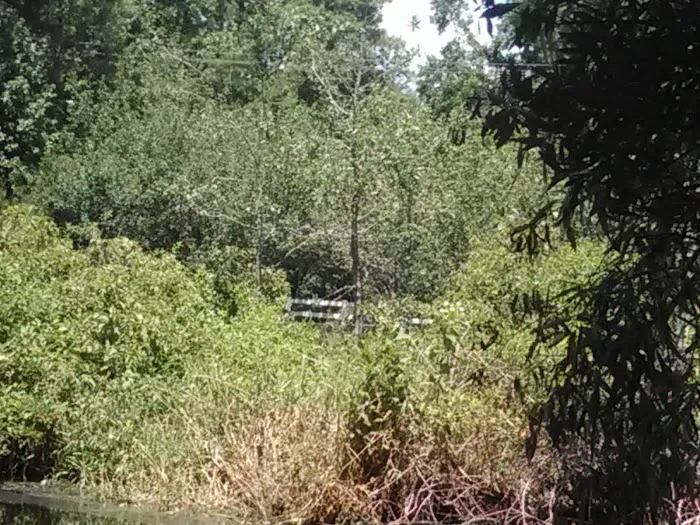 Myrtle Beach RV Resort Picture 4