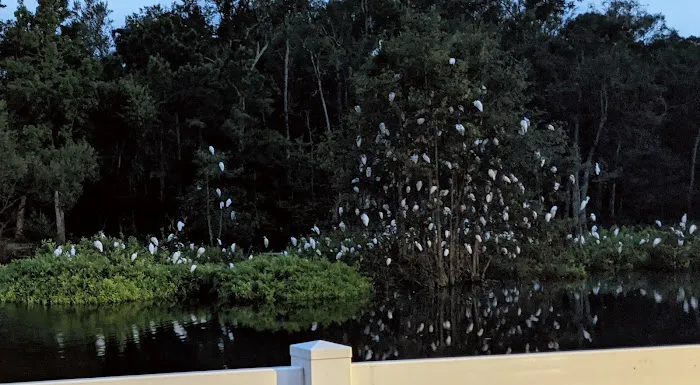 Myrtle Beach RV Resort Picture 1