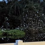 Myrtle Beach RV Resort