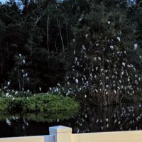 Myrtle Beach RV Resort ico