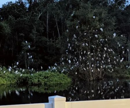 Myrtle Beach RV Resort