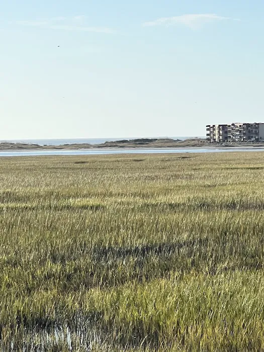 Myrtle Beach RV Resort Picture 3