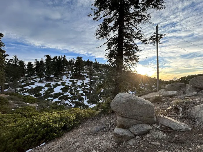 Keller Peak Yellow Post Site #9 Picture 4