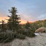 Keller Peak Yellow Post Site #9