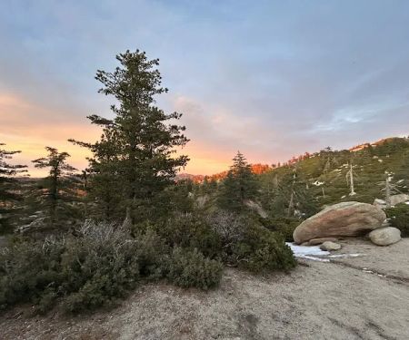 Keller Peak Yellow Post Site #9