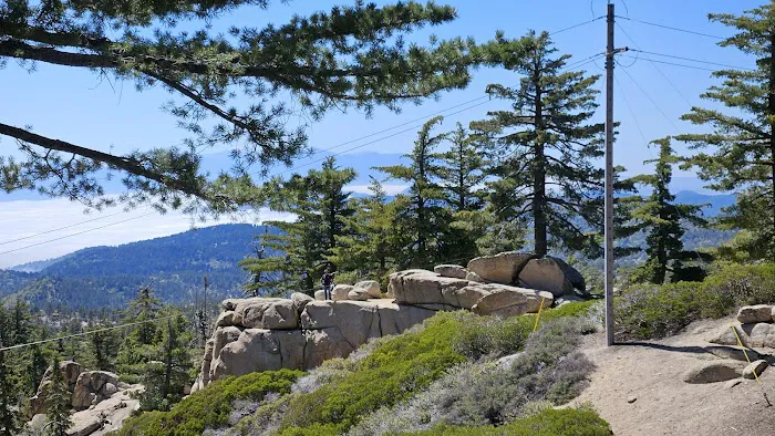 Keller Peak Yellow Post Site #9 Picture 6