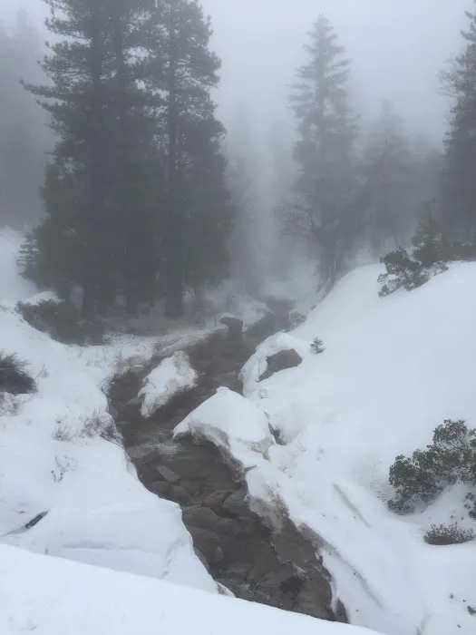 Keller Peak Yellow Post Sites Picture 6
