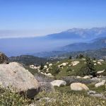 Keller Peak Yellow Post Sites