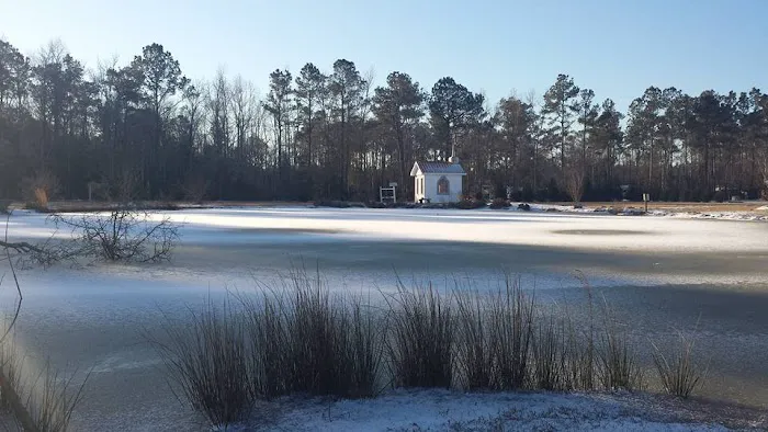 Carrollwoods RV Campground & Vineyard Picture 4