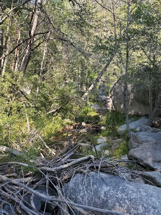 Bear Creek Trailhead Picture 8
