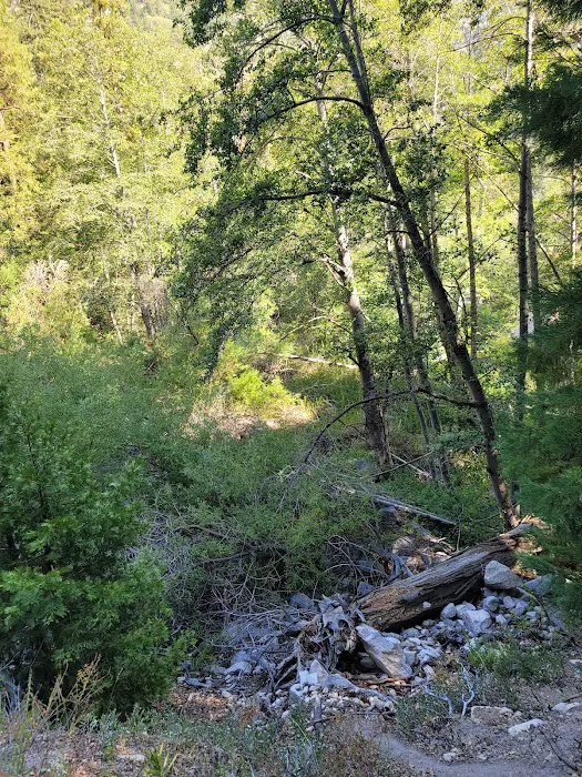 Bear Creek Trailhead Picture 10