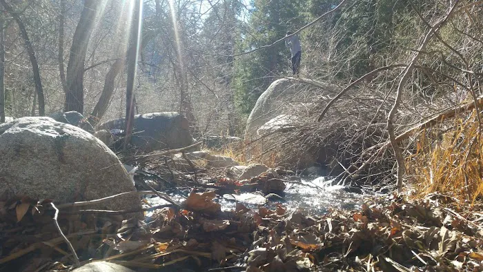 Bear Creek Trailhead Picture 9