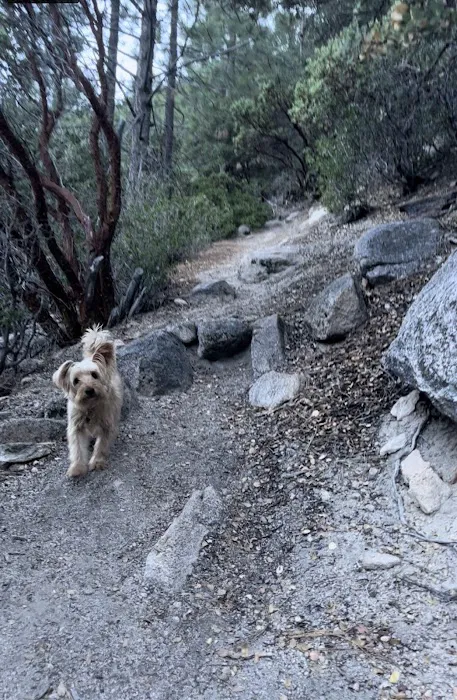 Bear Creek Trailhead Picture 7