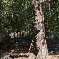 Siberia Creek Campground ico