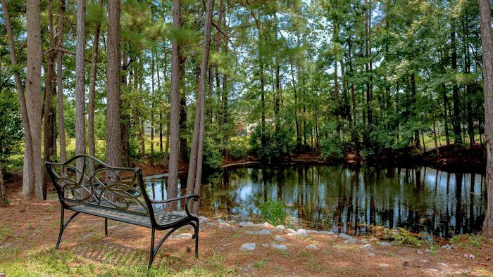 Country Lakes Picture 5