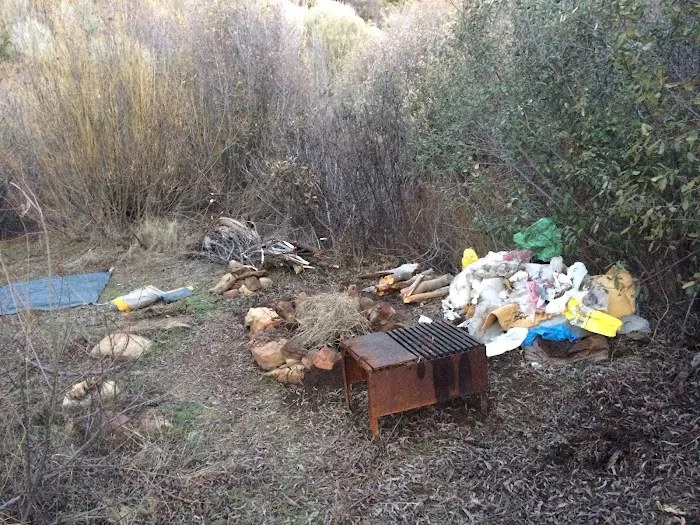 Upper Rancho Nuevo Campground Picture 2