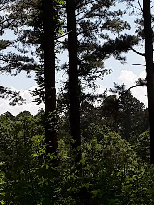 State Line Mobile Home Park Picture 7