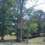 Sleepy Hollow Mobile Home Est