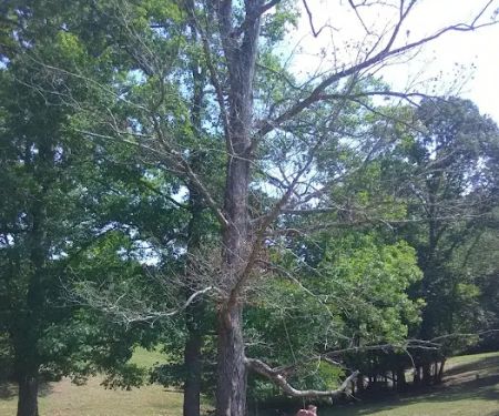 Sleepy Hollow Mobile Home Est